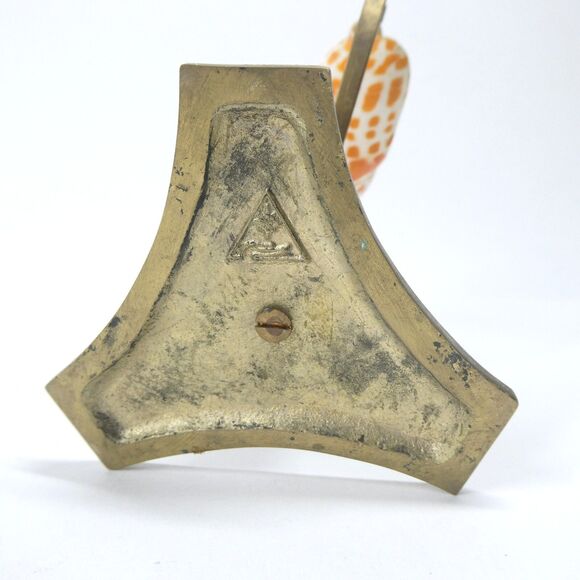 Episcopal Miter Seashell on Brass Caliper Display Stand Vintage Shell Specimen - Picture 10 of 11